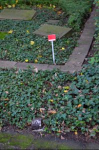 Frankfurt, Hauptfriedhof, Grab E 577a Steinhausen (!!!)