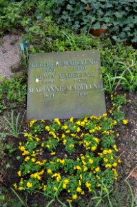 Frankfurt, Hauptfriedhof, Grab Erwin Madelung
