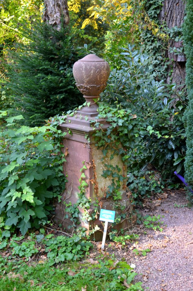 Frankfurt, Hauptfriedhof, Grab E 50 Lücke