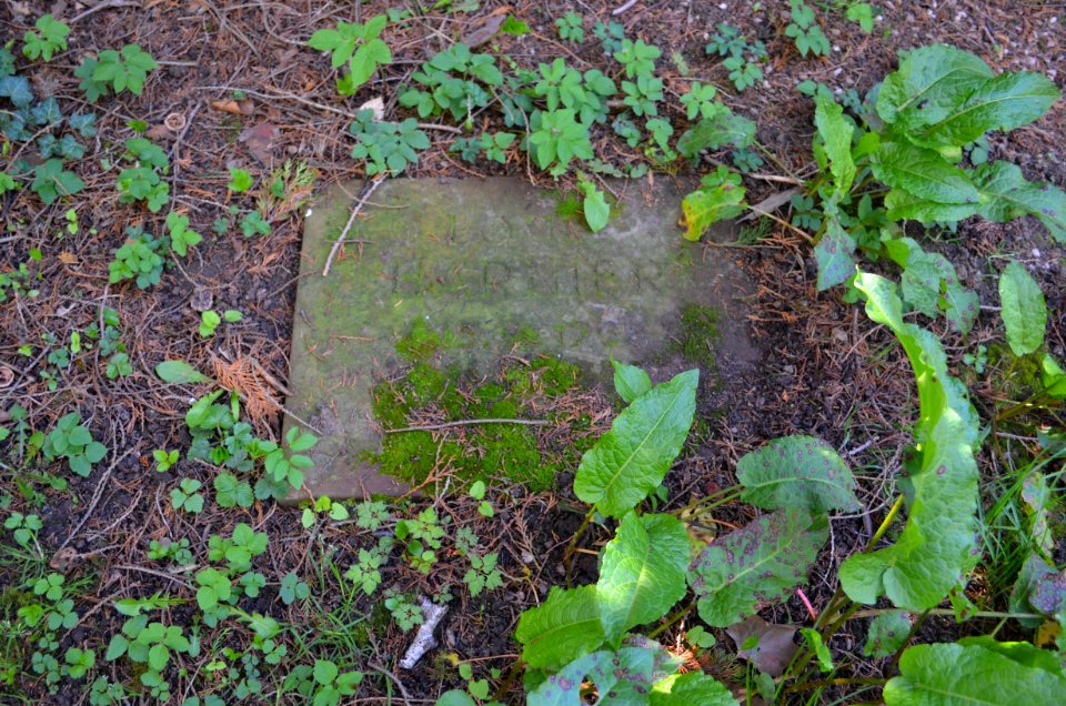 Frankfurt, Hauptfriedhof, Grab E an der Mauer 359a Eduard Ludwig von Harnier (1)