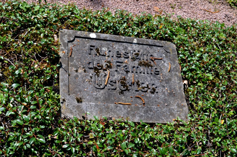 Frankfurt, Hauptfriedhof, Grab E an der Mauer 305a Friedrich Philipp Usener (3)