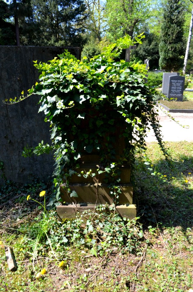 Frankfurt, Hauptfriedhof, Grab G 26 Leutheusser
