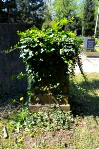 Frankfurt, Hauptfriedhof, Grab G 26 Leutheusser