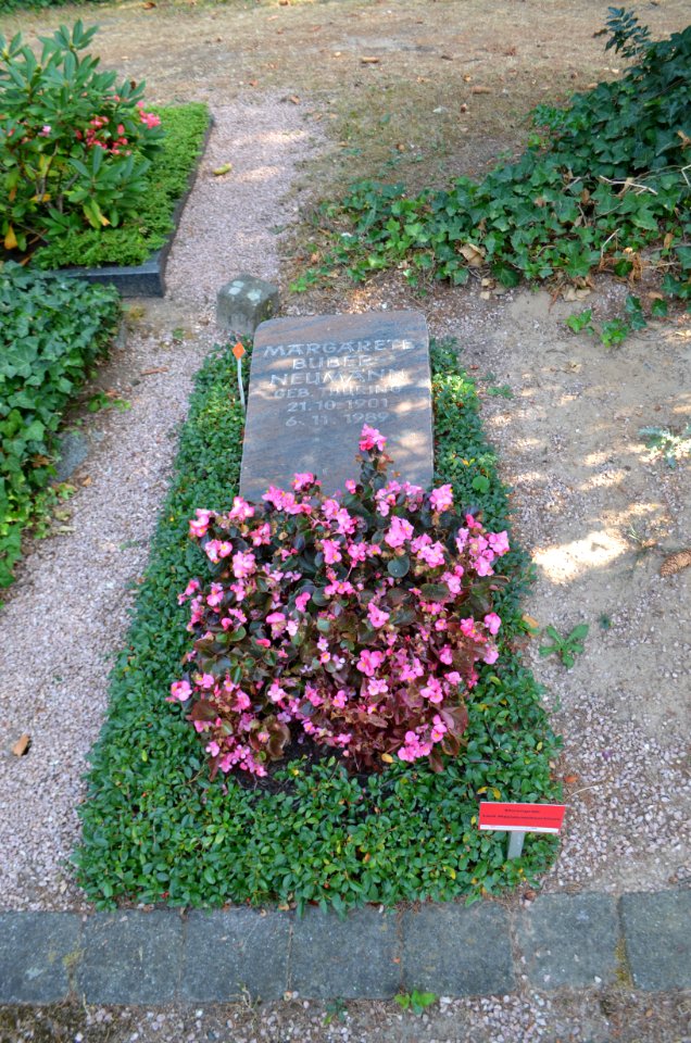 Frankfurt, Hauptfriedhof, Grab F 1908 Margarete Buber-Neumann