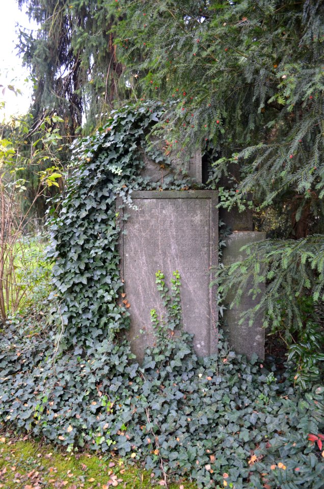 Frankfurt, Hauptfriedhof, Grab II 201 Fucker