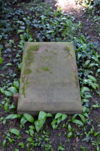 Frankfurt, Hauptfriedhof, Grab XII 79 Herold