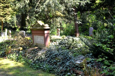Frankfurt, Hauptfriedhof, Grab G 203-205 Weber (1)