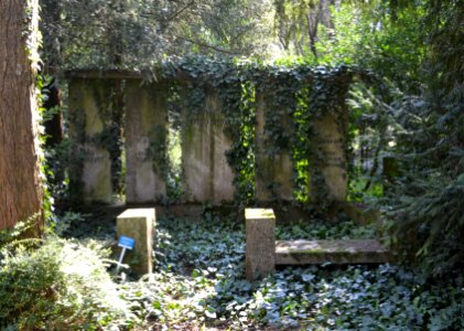 Frankfurt, Hauptfriedhof, Grab XII Gartengräber 38 Maier, Simon