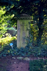 Frankfurt, Hauptfriedhof, Grab XIV Urnenhain 14 Swarzenski