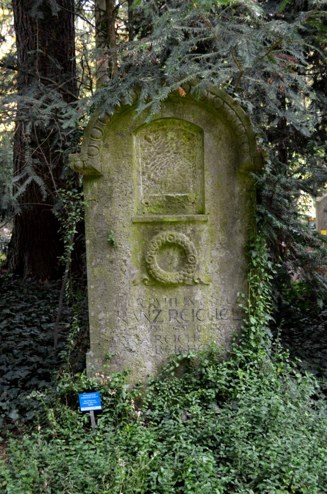 Frankfurt, Hauptfriedhof, Grab II 307 Reichel