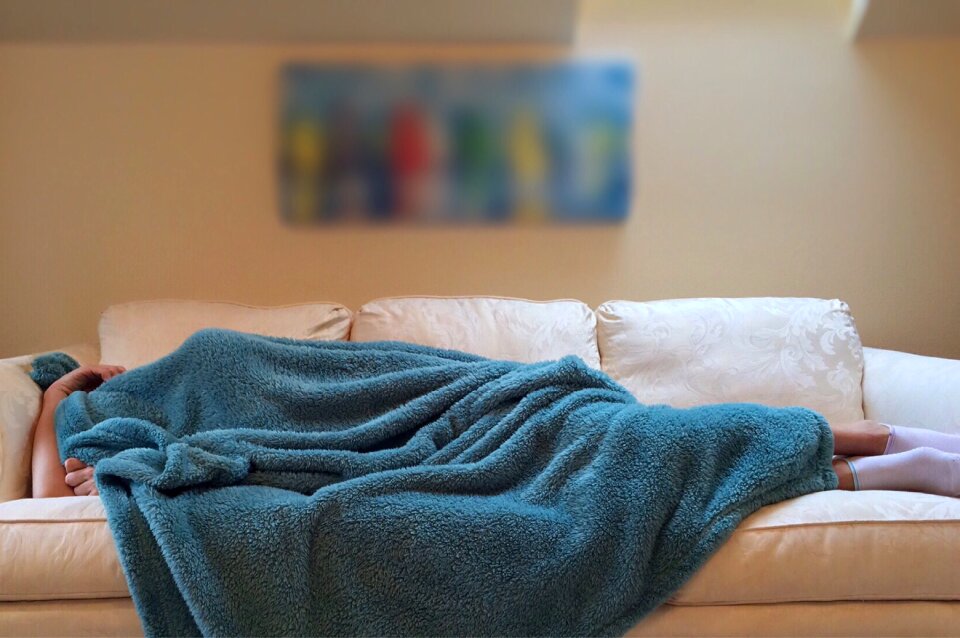 Resting brown sleep brown sleeping