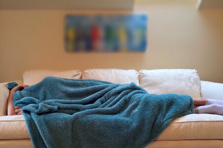 Resting brown sleep brown sleeping