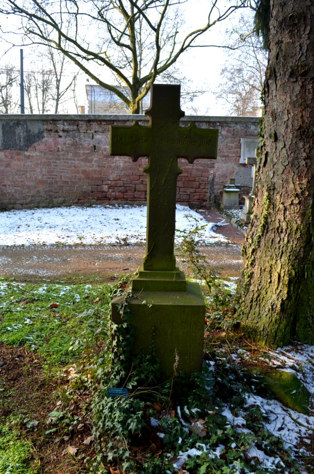 Frankfurt, Hauptfriedhof, Grab E 342 Werkenthin