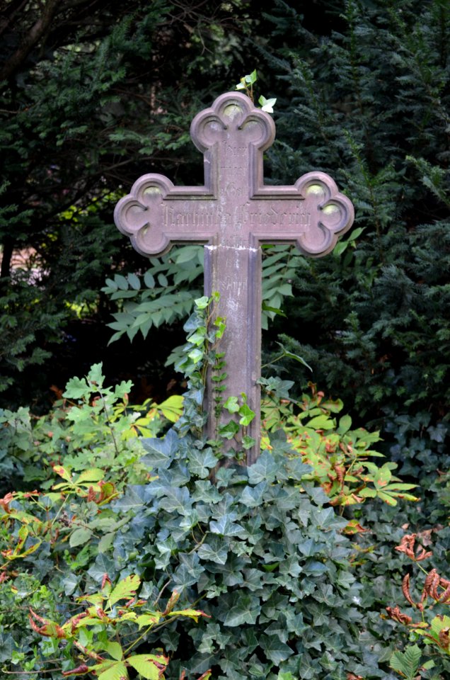 Frankfurt, Hauptfriedhof, Grab D 443 Friederich (1)