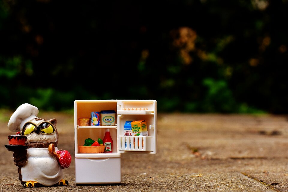 Refrigerator figure cute