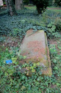 Frankfurt, Hauptfriedhof, Grab D 482 Walrond
