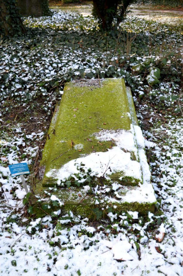 Frankfurt, Hauptfriedhof, Grab D 480 Reuter