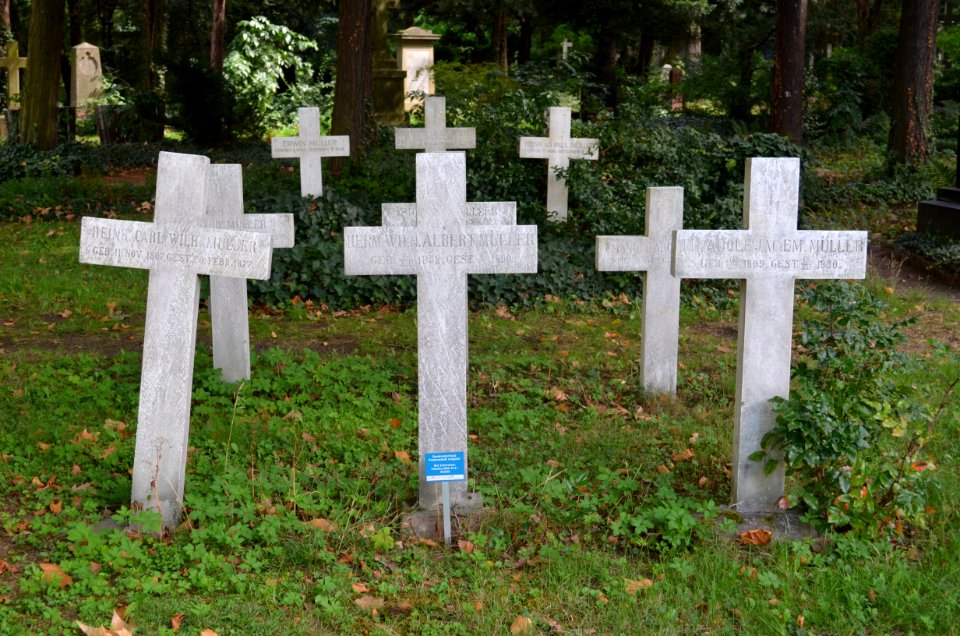 Frankfurt, Hauptfriedhof, Grab D 45 Müller-Buch