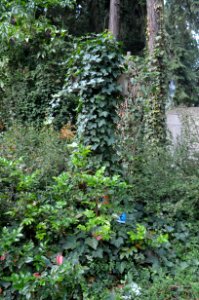 Frankfurt, Hauptfriedhof, Grab D 475 von Malapart