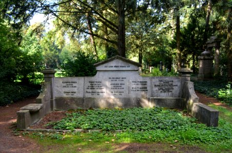 Frankfurt, Hauptfriedhof, Grab D 335 Tillmanns