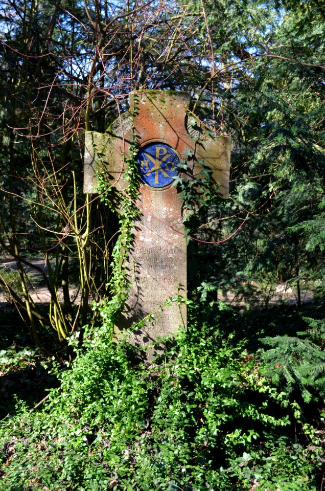 Frankfurt, Hauptfriedhof, Grab XV 41 Abeck