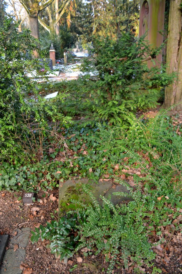 Frankfurt, Hauptfriedhof, Grab zwischen E 528 und E 524 Brouwer