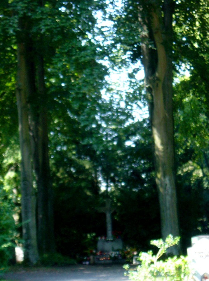 Frankfurt-Bockenheim Friedhof 935