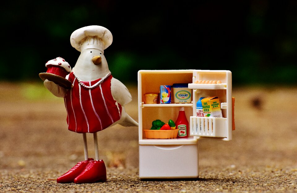 Refrigerator figure cute