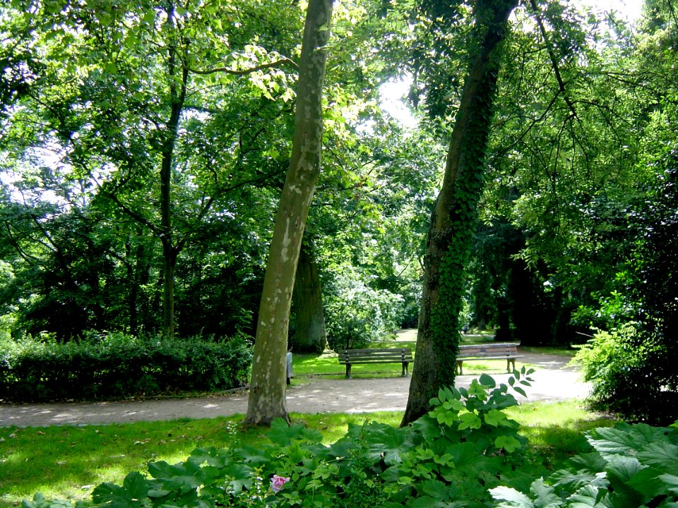 Frankfurt-Bockenheim Bernus-Park 12