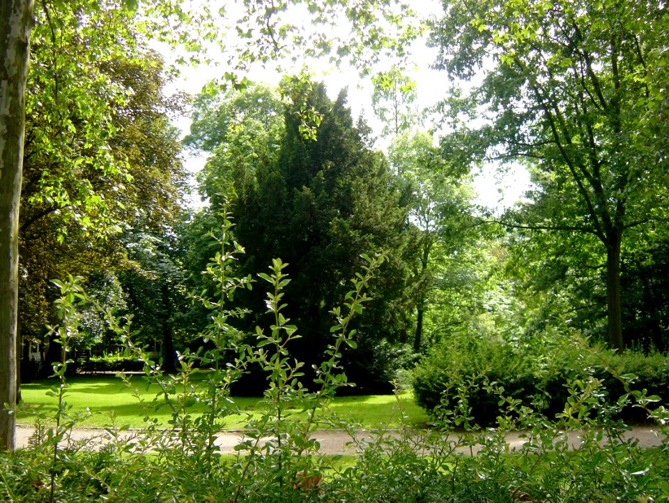 Frankfurt-Bockenheim Bernus-Park 11