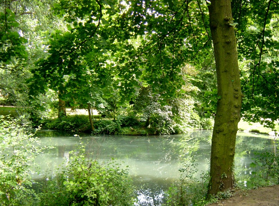 Frankfurt-Bockenheim Bernus-Park 14