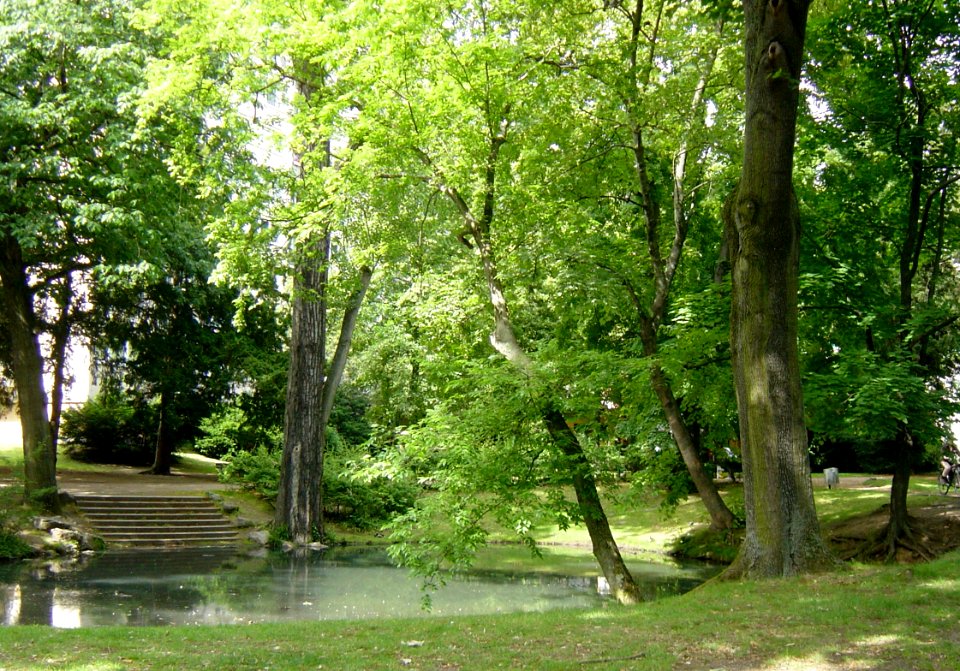 Frankfurt-Bockenheim Bernus-Park 15
