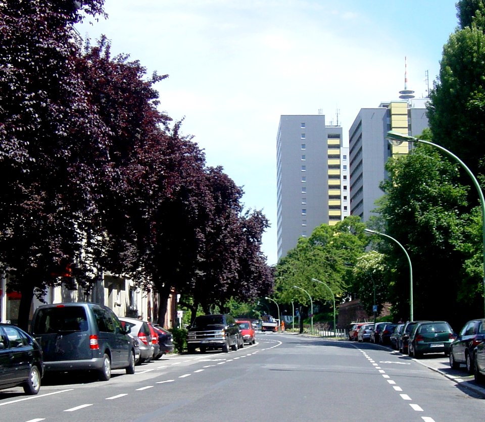 Frankfurt-Bockenheim Ginnheimer Landstraße 11