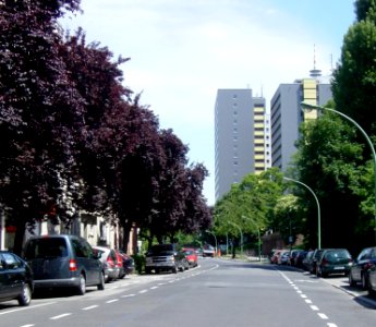 Frankfurt-Bockenheim Ginnheimer Landstraße 11