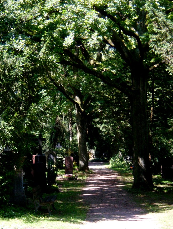 Frankfurt-Bockenheim Friedhof 939