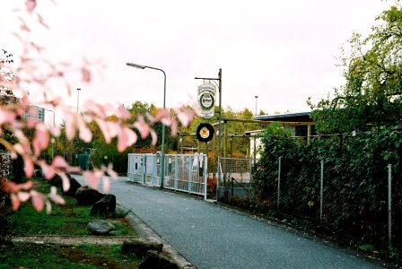 Frankfurt-Bockenheim Diebsgrundweg 3