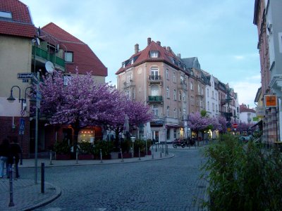 Frankfurt-Bockenheim Leipziger Straße 033