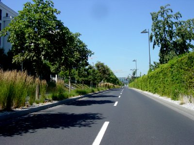 Frankfurt-Bockenheim Rebstock, Straße der Nationen 15