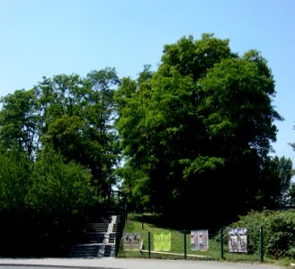 Frankfurt-Bockenheim Solmsstraße 35