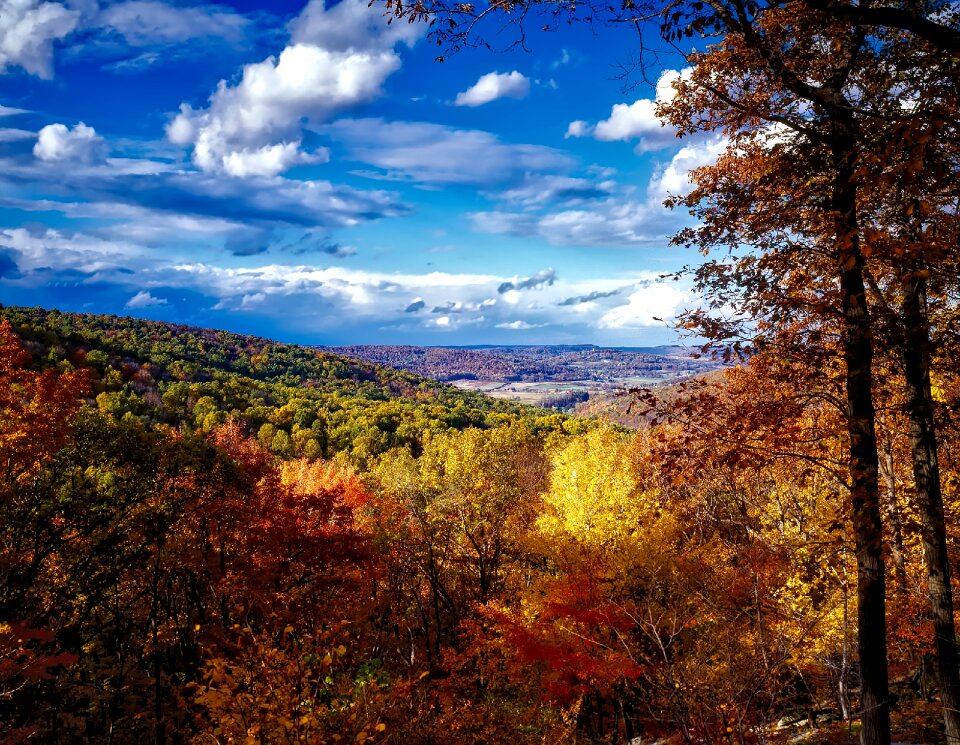 Maryland fall autumn photo