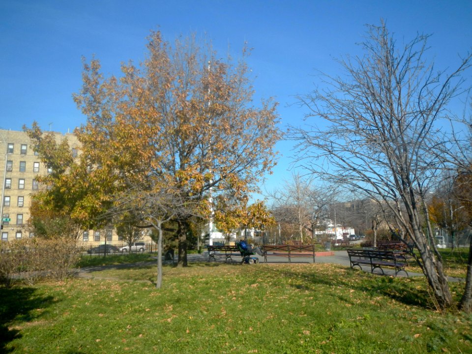 Fraser Square Bklyn sunny jeh