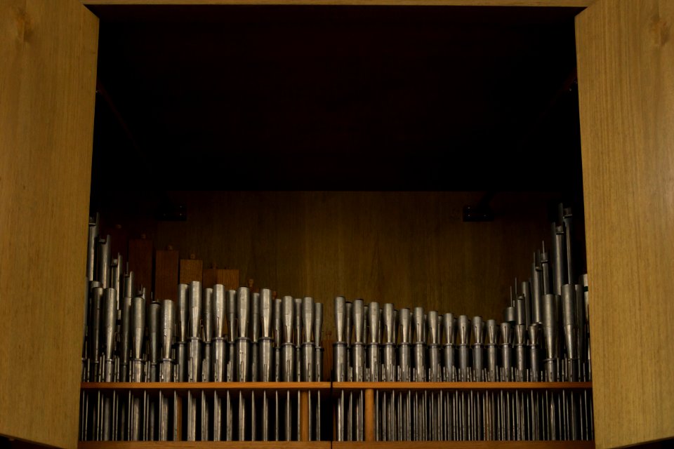 Frauenkirche Görlitz Orgel 2