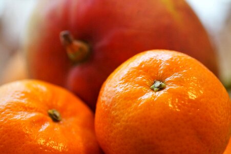 Citrus fetus orange