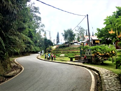 Frasers Hill 7