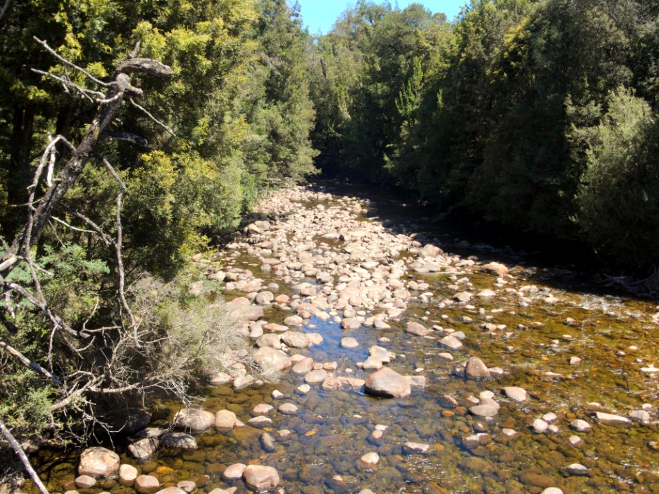 Franklin River 20171121-024