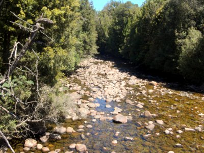 Franklin River 20171121-024