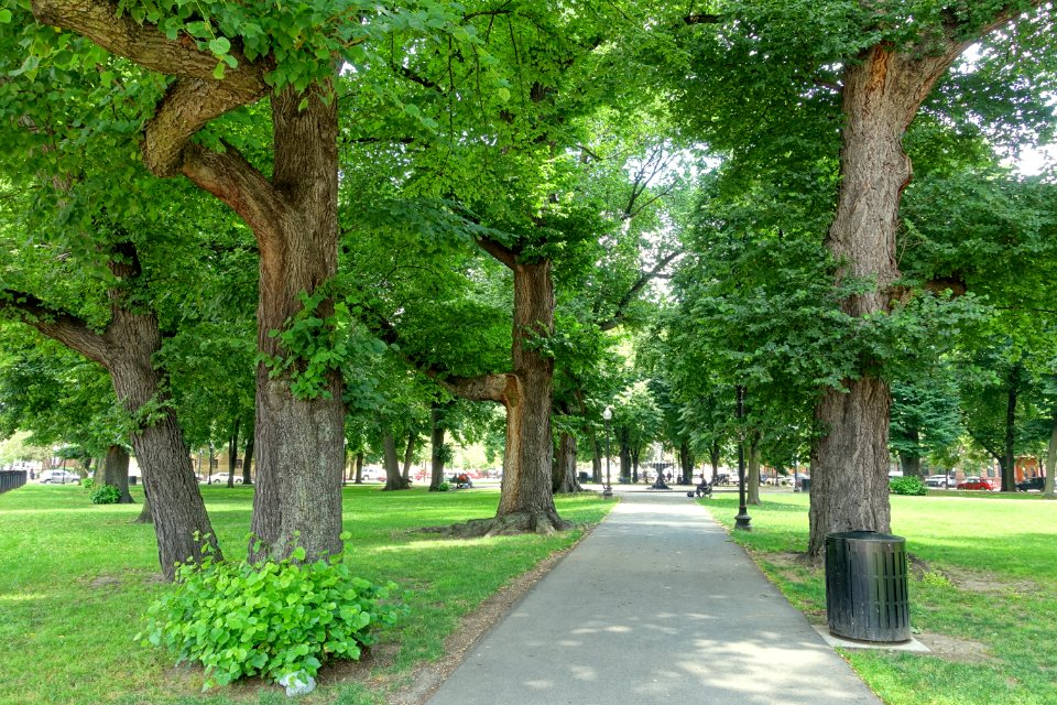 Franklin Square - Boston, MA - DSC06775