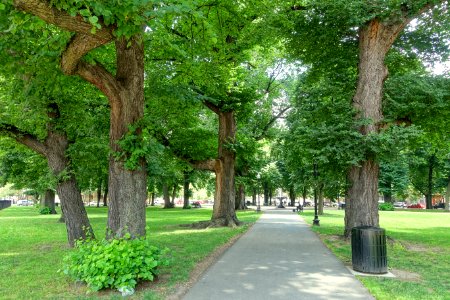 Franklin Square - Boston, MA - DSC06775