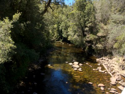 Franklin River 20171121-025