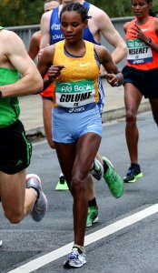 Frankfurt Marathon 2015 - Gulume photo